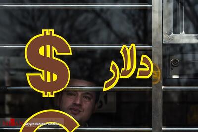  نکات مثبت و منفی حذف ارز ترجیحی؛ از کاهش زمینه‌های رانت و فساد تا نگرانی از کمبود کالاهای اساسی و فشار به معیشت مردم