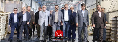  بازدید نماینده رئیس‌جمهور و مسئولان ارشد از پتروشیمی تندگویان