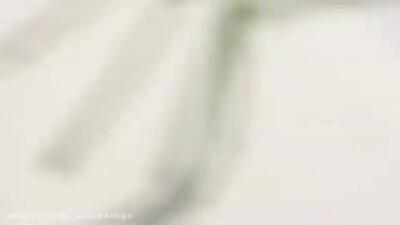  فیلم شکار دیدنی غزال توسط سگ‌های وحشی