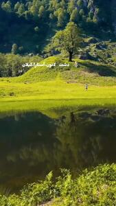  فیلم سرسبزی دشت لاتون آستارا