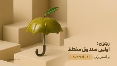  صندوق زیتون، اولین صندوق با استراتژی کاورد‌کال + جزئیات