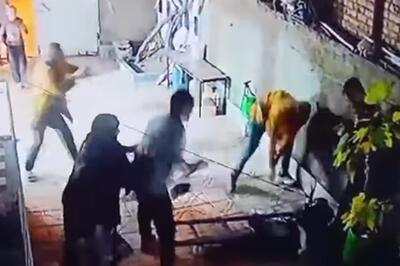  تشکیل پرونده برای حمله گروهی به زوج سالخورده در اهر؛ پیرمرد جان باخت+فیلم