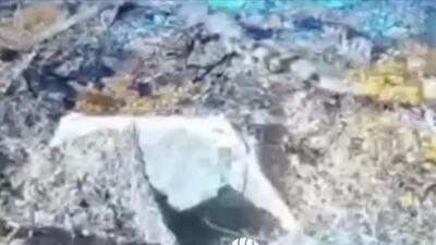  وزارت دفاع روسیه تصاویری از نبرد برای تصرف منطقه ووچیه منتشر کرد