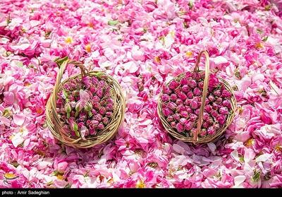  عربستان و ترکیه میراث ایران را به نام خود می‌زنند