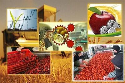  توسعه صنایع تبدیلی؛ راهی برای جلوگیری از مهاجرت جوانان روستایی
