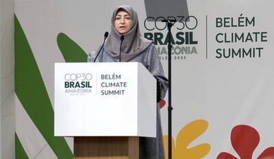  شینا انصاری در COP30: ایران با وجود تحریم‌ها به تعهدات اقلیمی خود پایبند است - تسنیم