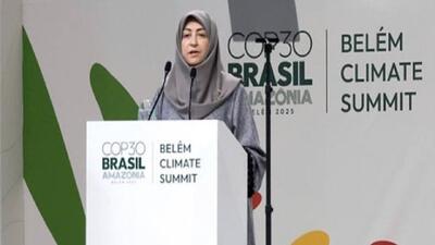  ایران با وجود تحریم‌ها به تعهدات اقلیمی خود پایبند است/ کاهش۱۰ میلیارد مترمکعب گاز گلخانه‌ای