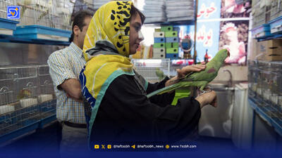  بازار پرندگان | اینجا ‌جان‌ حیوانات در خطر است