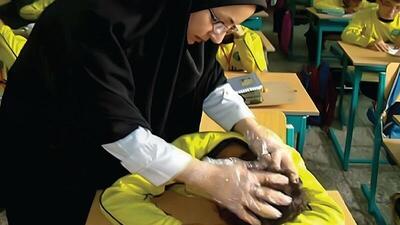  شپش مهمان ناخواسته مدارس خراسان‌شمالی؛ راه مقابله چیست؟