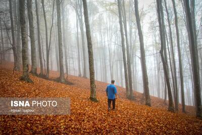  سوادکوه؛ مقصدی برای تماشای زودترین پاییز شمال