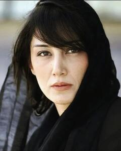  هدیه تهرانی با این سریال به تلویزیون برمی‌گردد