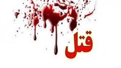  اطلاعیه پلیس در خصوص پرونده قتل «مبینا زارع» دختر گمشده اسلامشهری