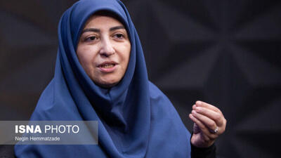  دعوت انصاری از ثابتی برای بررسی اسناد سفر برزیل در سازمان محیط زیست