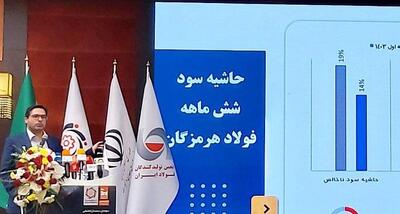  صنعت فولاد سودآور به‌نظر می‌رسد، اما در واقع فقیرتر شده‌ایم