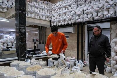  عرضه برنج ۵۰ هزار تومانی در بازار