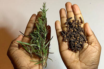  رزماری و میخک در مرکز توجه کاربران توئیتر!