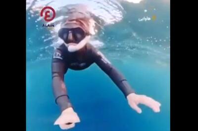  نجات معجزه‌آسای غواص زن از دهان نهنگ عظیم‌الجثه