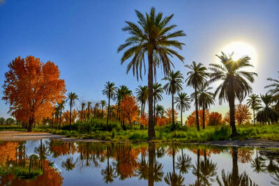  آبادان و خرمشهر در خیال پاییزی هوش مصنوعی