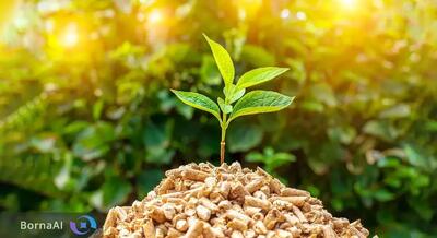  سالانه ۷۰ میلیون تن ضایعات زیست‌توده در کشور رها می‌شود