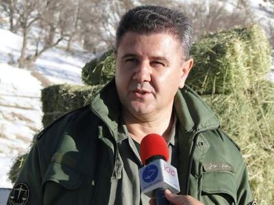  بازگشت موفق پرنده شکاری به دامان طبیعت؛ موفقیت عملیات تیمار و رهاسازی توسط کارشناسان محیط زیست