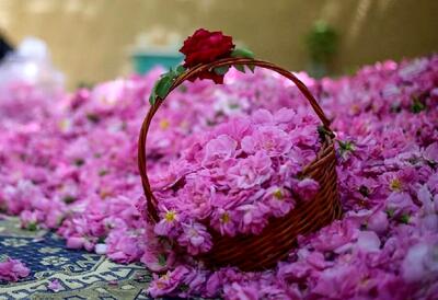  داده‌های گمرک نشان داد؛عربستان و ترکیه این محصول ایران را به نام خود زدند