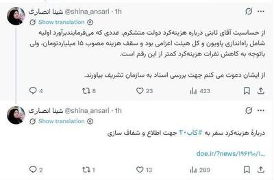  واکنش شینا انصاری درباره سفر برزیل + عکس | اقتصاد24