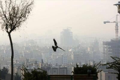  شرکت کنترل کیفیت هوا: کاهش بارش‌ها، خشکسالی و طوفان‌های گرد و غبار، نقش مهمی در آلودگی هوای پایتخت دارند