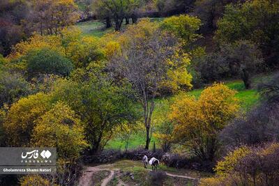  تصاویر؛ سمفونی رنگ‌های پاییزی در کوهستان چالوس