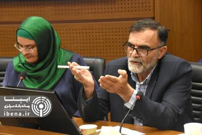  مجلس پشتیبان بانک مرکزی در اصلاح بانک‌های ناتراز است