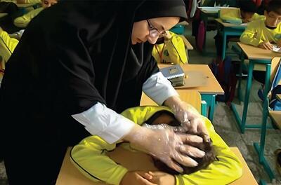  شپش مهمان ناخواسته مدارس خراسان‌شمالی؛ راه مقابله چیست