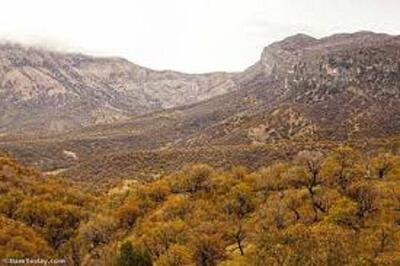  «مانشت و قلارنگ» زیست‌بوم طبیعت وحشی زاگرس در ایلام