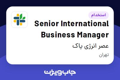 استخدام Senior International Business Manager در عصر انرژی پاک