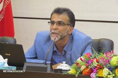  صفوی: قلب، چشم و سیستم ایمنی در تیررس امواج دکل و موبایل است