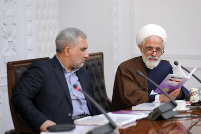  انصاری: آسیب‌شناسی نحوه اجرای قانون اساسی از مهمترین موضوعات است