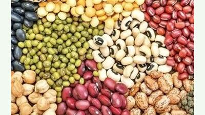  قیمت لوبیا چیتی اعلام شد