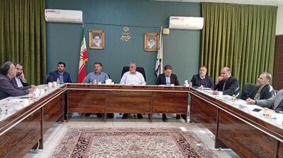  روند برگزاری انتخابات شوراهای اسلامی کشور مورد بررسی قرار گرفت