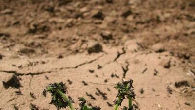  ایرانرود تنها راه نجات ایران