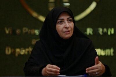  رونمایی از سند سفر ۵۰ میلیاردتومانی شینا انصاری به برزیل