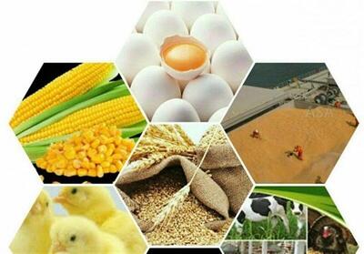  نظارت ضعیف بر نهاده‌های دامی، تأمین کالاهای اساسی را تهدید می‌کند