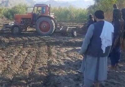 سخنگوی وزارت کشور طالبان: کشت مواد مخدر در افغانستان نزدیک به صفر است - تسنیم