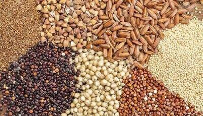  تامین بذر کشت پائیزه در ۴۸ هزار هکتار از مناطق کهگیلویه