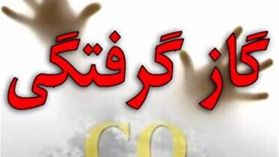  ۲۶ مورد مسمومیت تنفسی در ایلام؛ «قاتل خاموش» در کمین خانوار‌ها