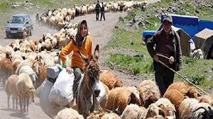  عشایر خراسان شمالی غرق در بی آبی در مناطق قشلاقی