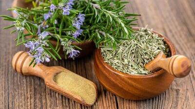  آیا رزماری واقعاً جای زخم را از بین می‌بَرَد؟