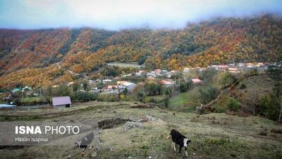  سوادکوه؛ مقصدی برای تماشای زودترین پاییز شمال