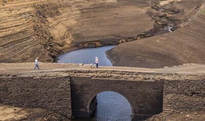  انگلیس هم آب کم آورد!/ خشکسالی بی سابقه در جزیره همیشه بارانی