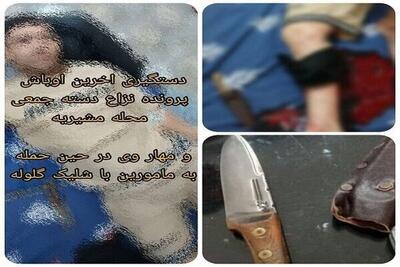  زمین‌گیر شدن شرور سابقه‌دار در مشیریه