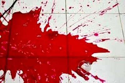  دستگیری دو برادر قاتل در تهران