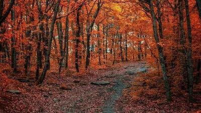  سمفونی گردشگری تاریخی و طبیعی شیراز؛ گزند مدیرنیته بر دامان اصالت قلات