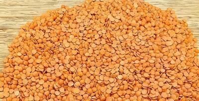  یک غذای فوق العاده آسان و سریع با دال عدس، همه عاشقش میشن !
